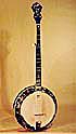 Enlarge the picture / Bluegrass banjo